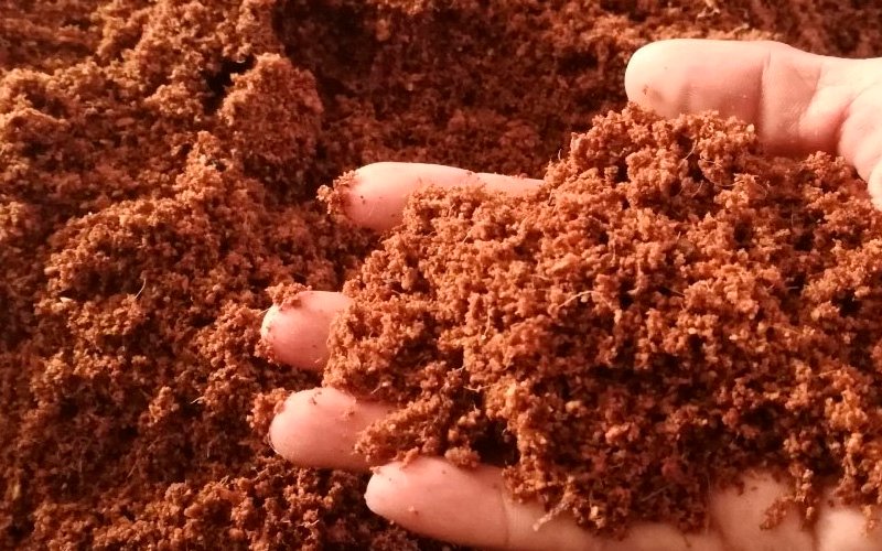 Coco-peat